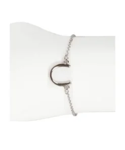 Messing Paarden armband met hoefijzer