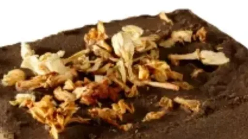 henna brownie haarmasker amla groot